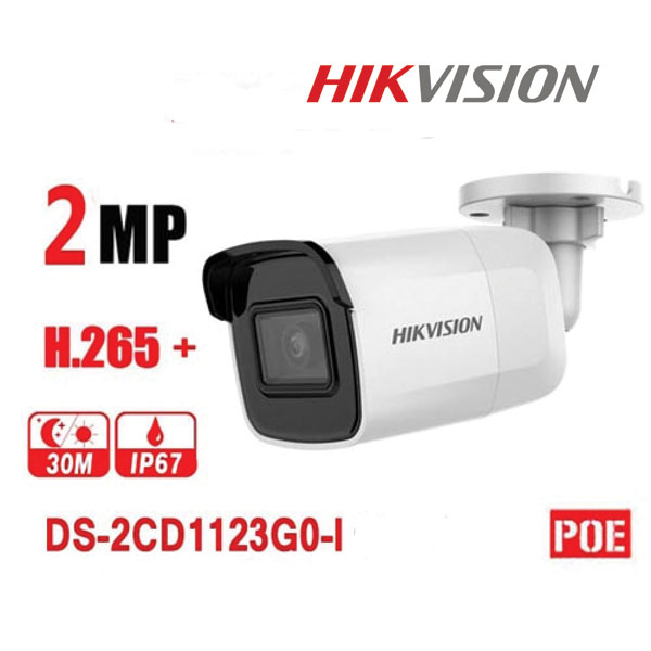 Camera IP Hikvision DS-2CD2021G1-I